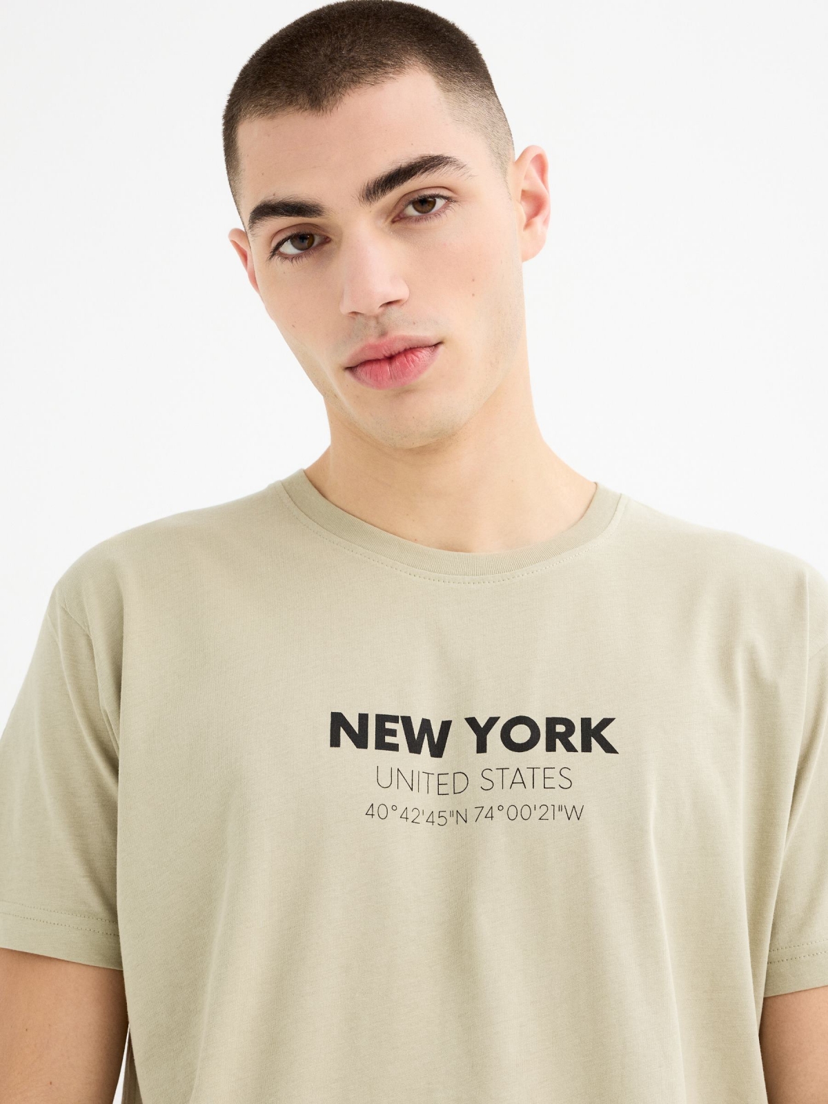 Camiseta manga corta New York verde grisáceo vista detalle