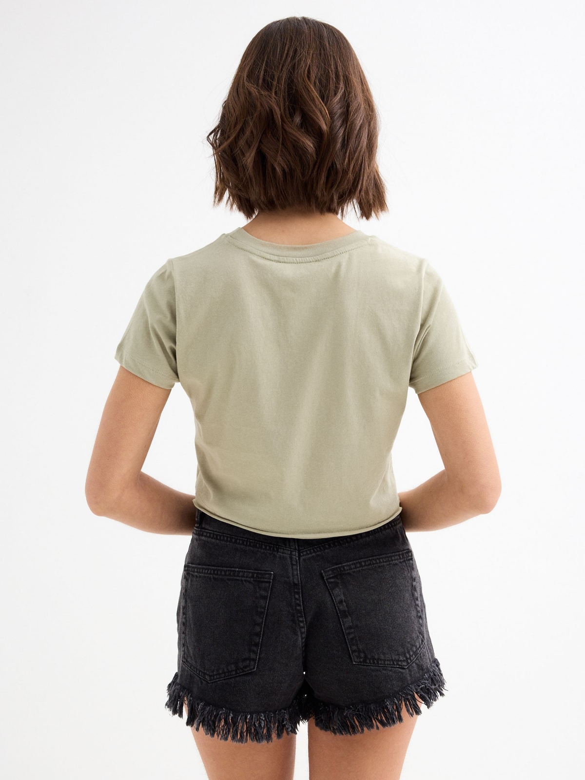 Short sleeve crop top Time to Relax greyish green middle back view