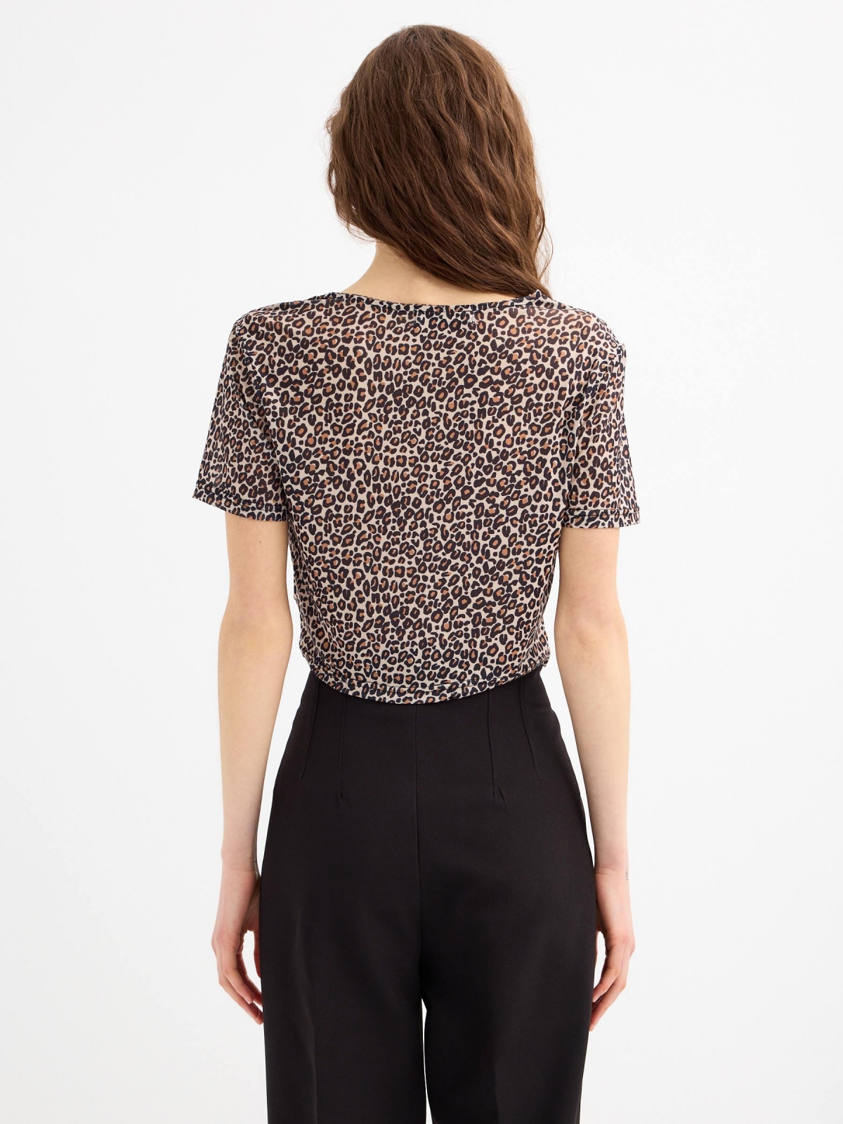 Animal print cropped tulle t-shirt multicolor middle back view