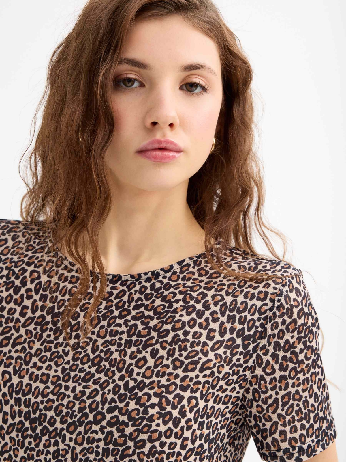 Animal print cropped tulle t-shirt multicolor detail view