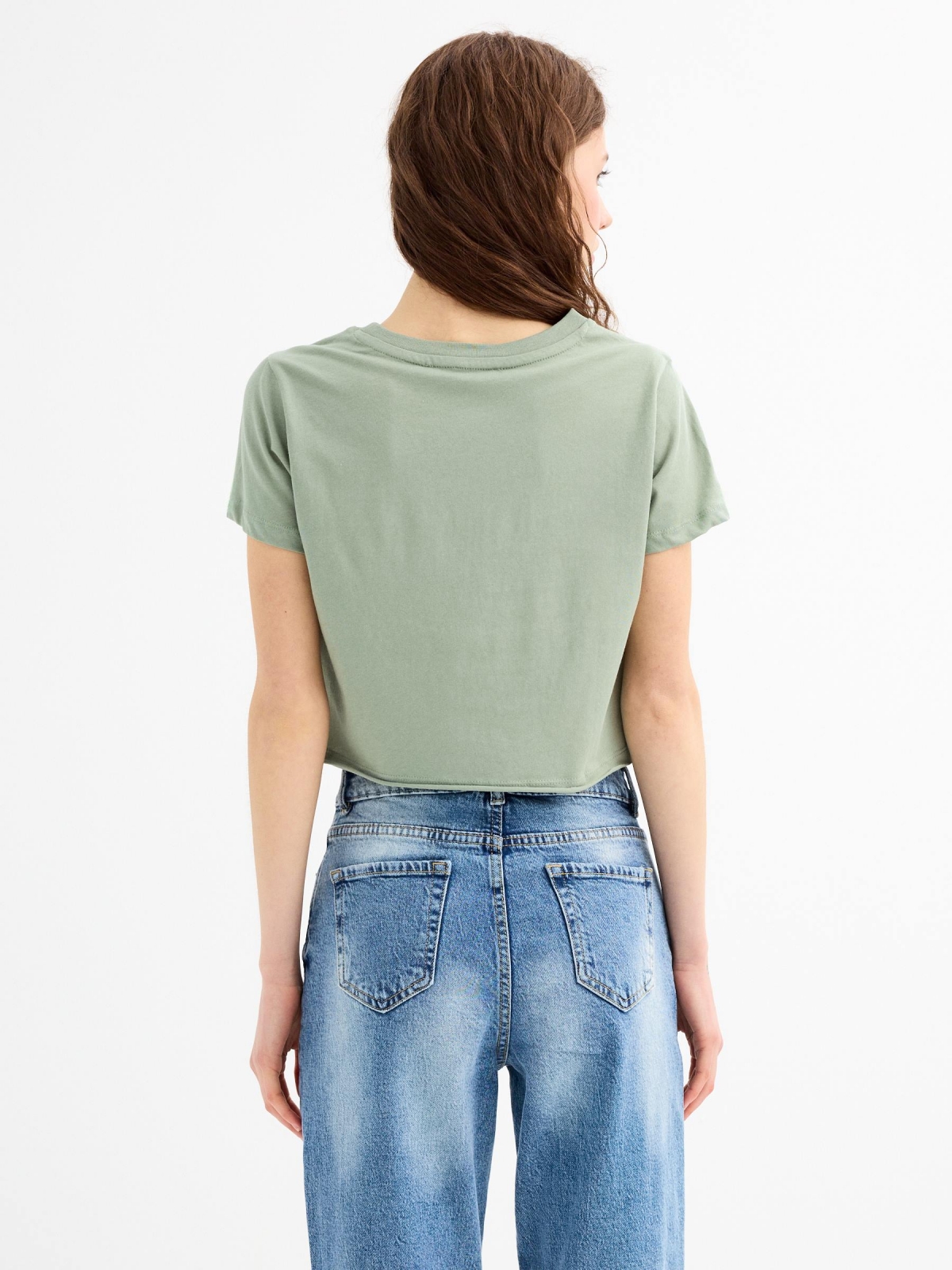 Short sleeve crop top Trastévere greyish green middle back view