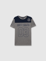 %Pto% Short sleeve t-shirt 03 medium melange front view