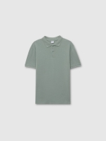 %Pto% Pole green front view