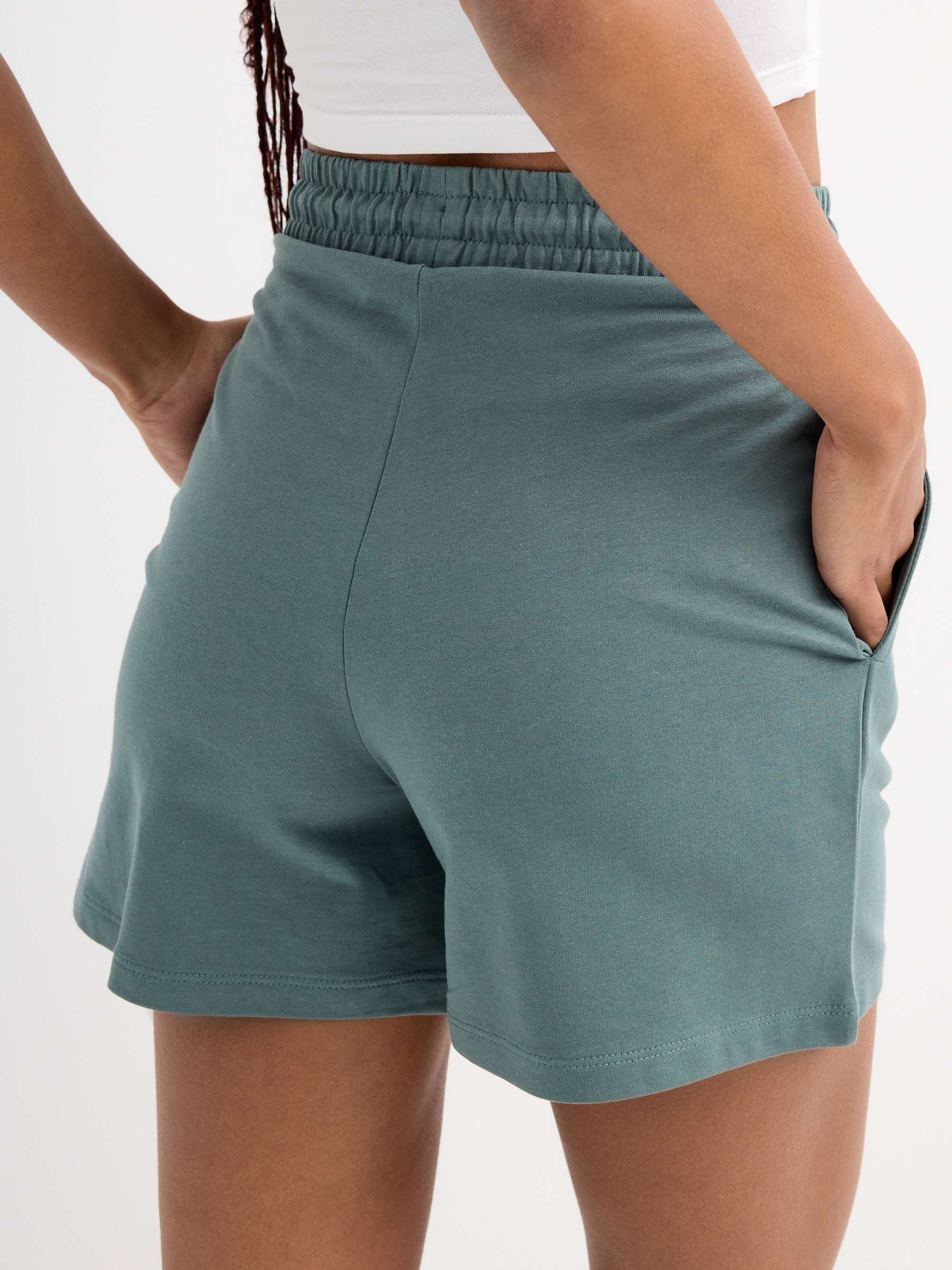 Waves fleece shorts bluish gray middle front view