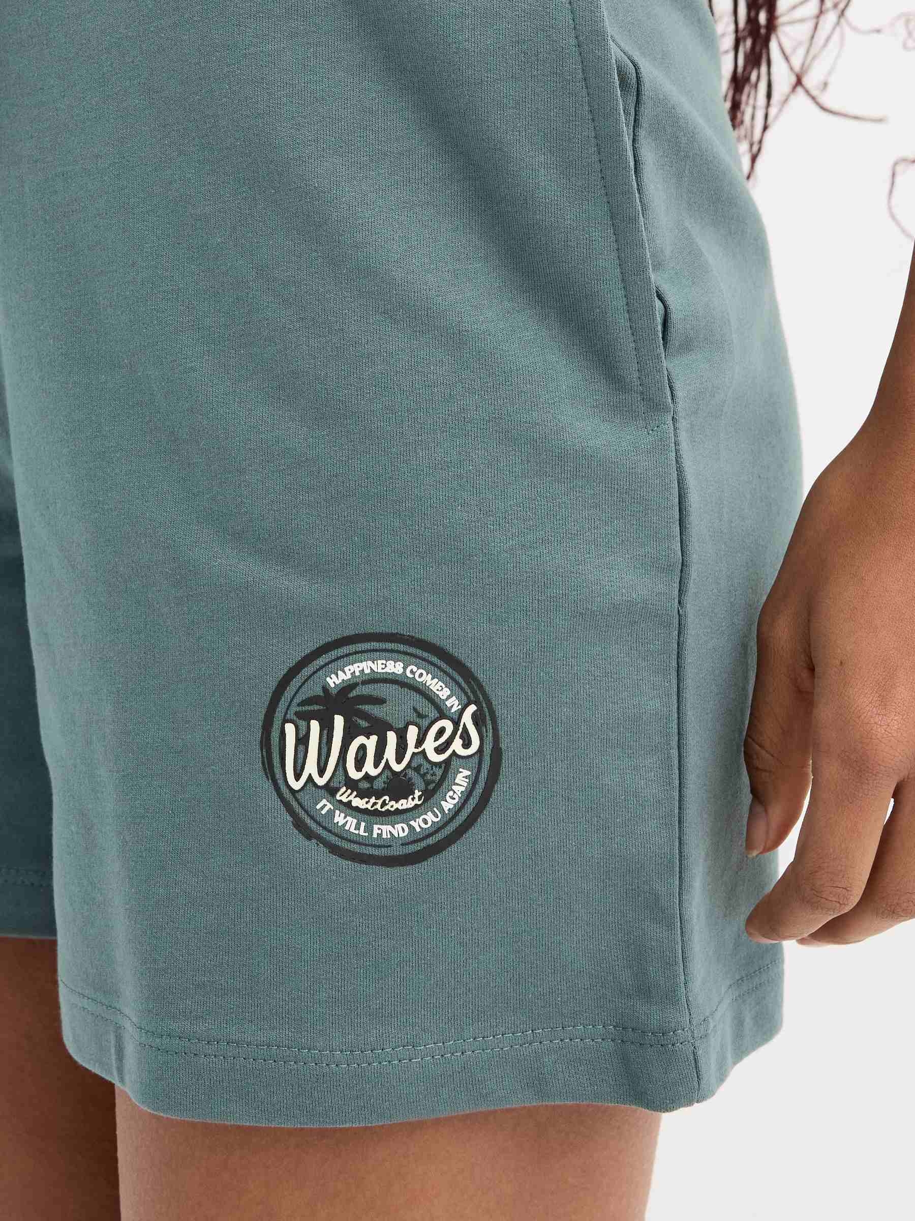 Waves fleece shorts bluish gray middle front view