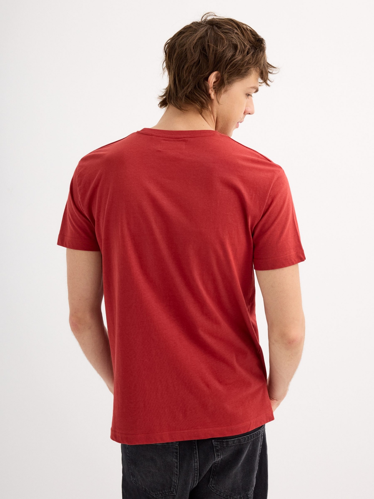 Short sleeve t-shirt Collect moments brick red middle back view