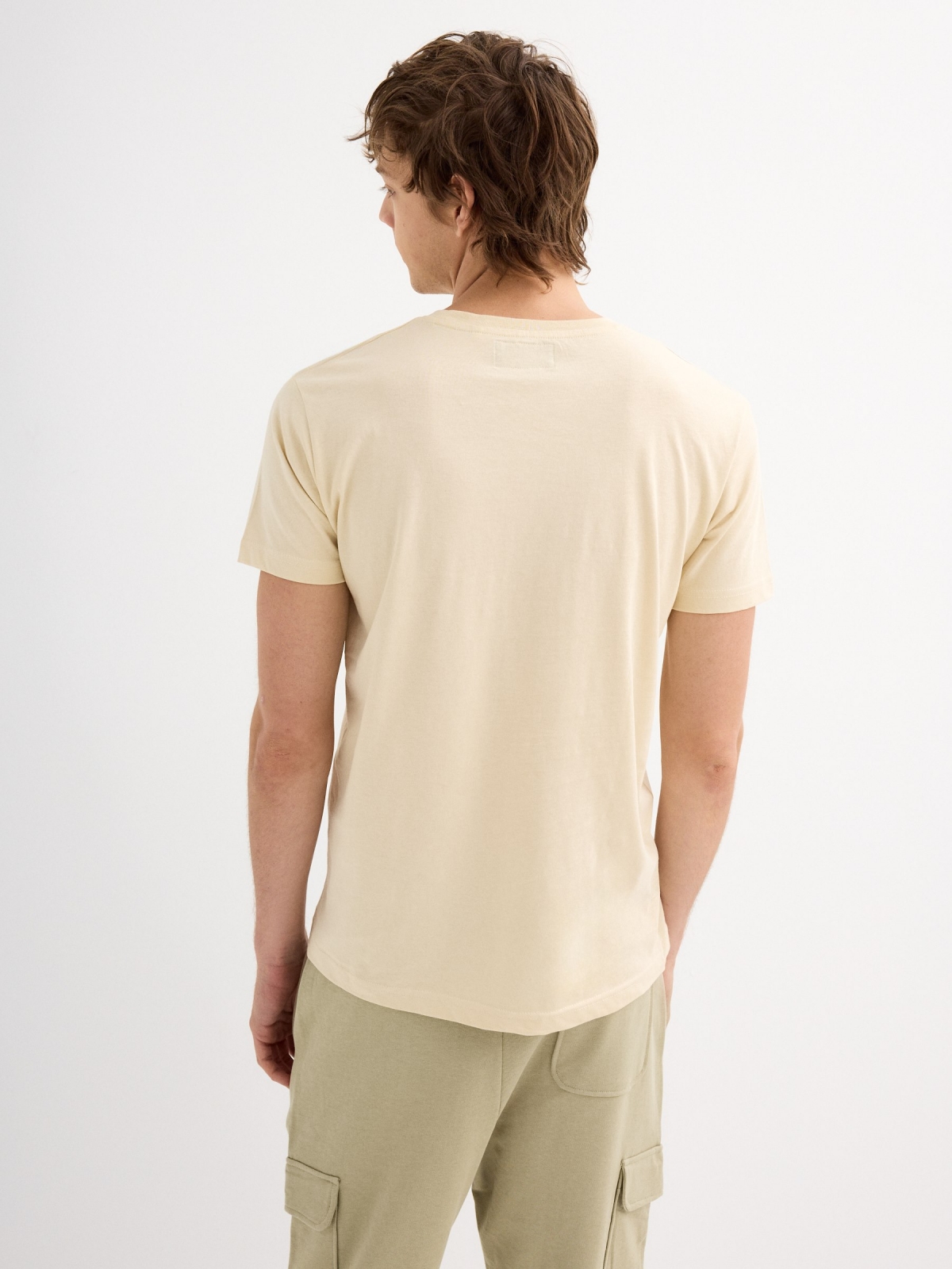 Short sleeve graphic t-shirt sand middle back view