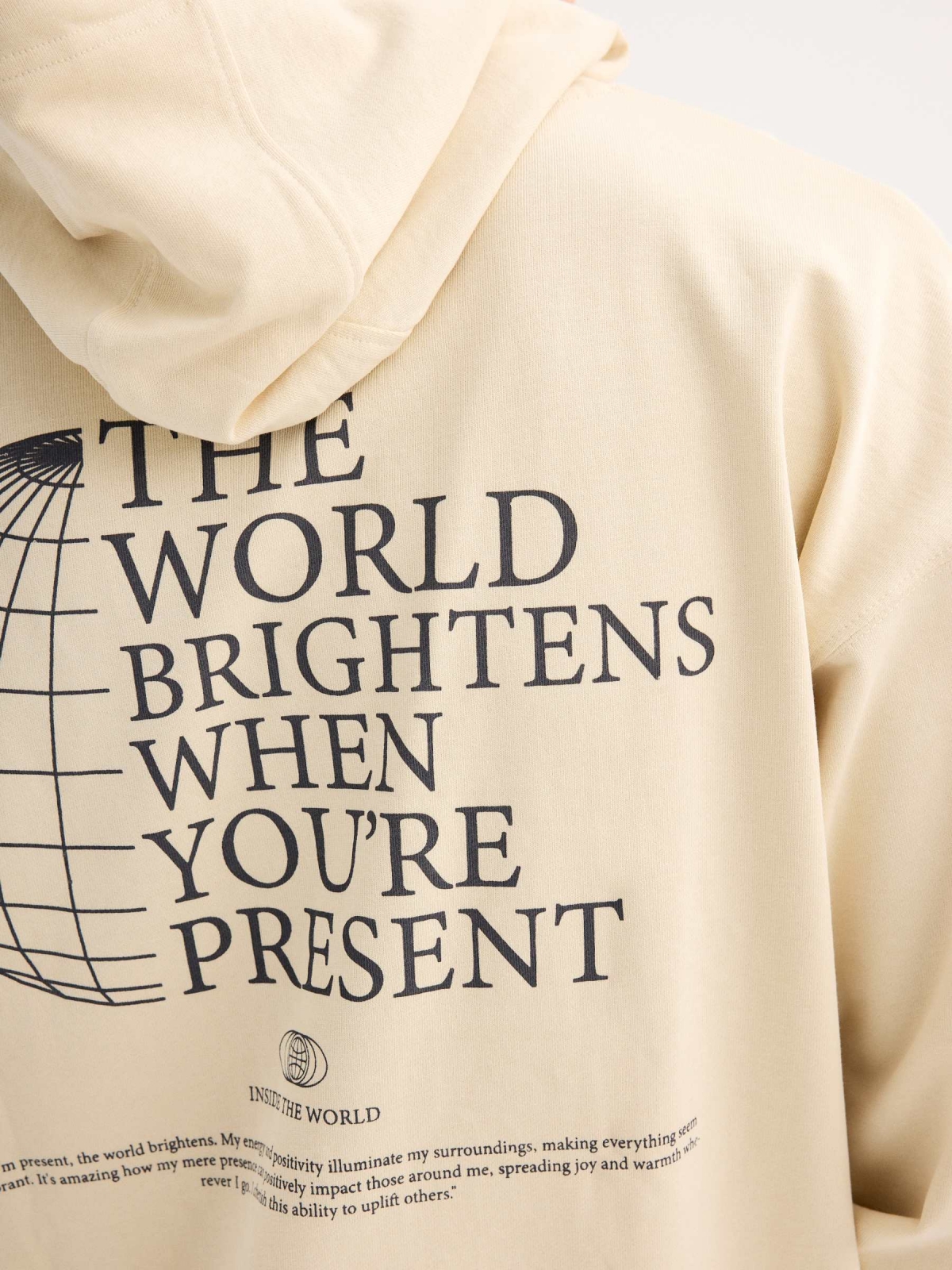 Sudadera con capucha Inside the world arena vista detalle