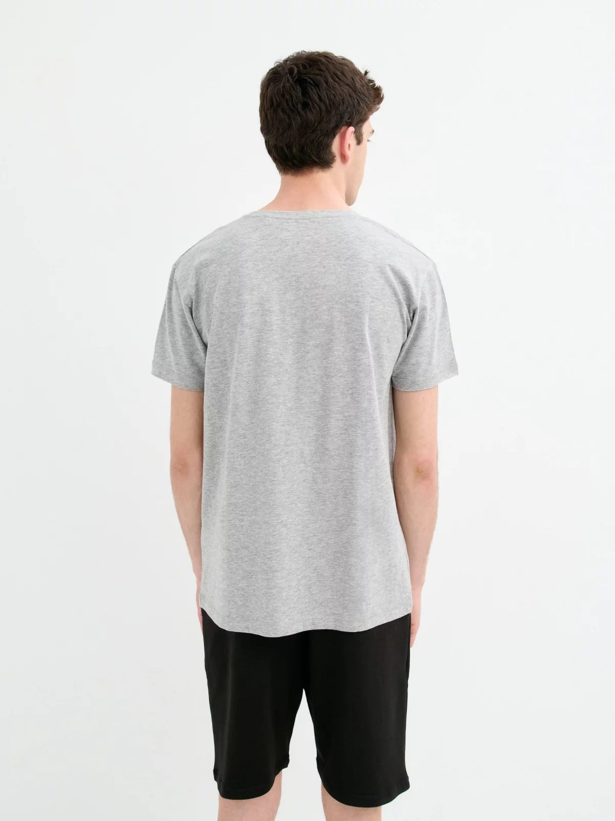 Short sleeve plain t-shirt medium melange middle back view