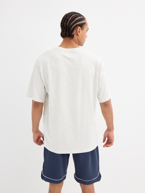 Short sleeve t-shirt Blue Reflection light melange middle back view