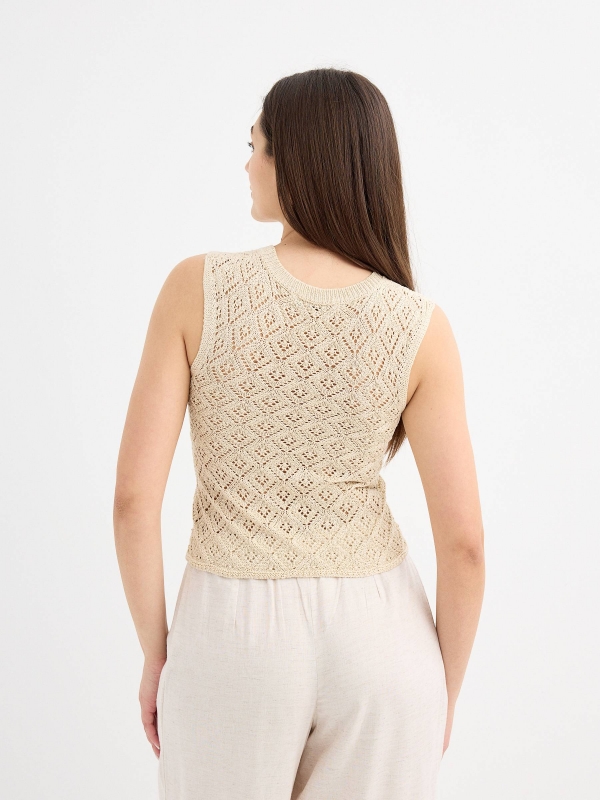 Metallic crochet sleeveless top sand middle back view