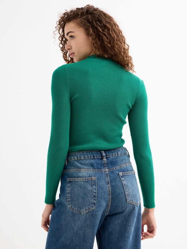 Camisola preta com gola rulê verde vista meia traseira