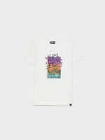 %Pto% T-shirt with photo and graffiti grey