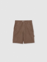 %Pto% Carpinteiro das Bermudas marrom vista frontal