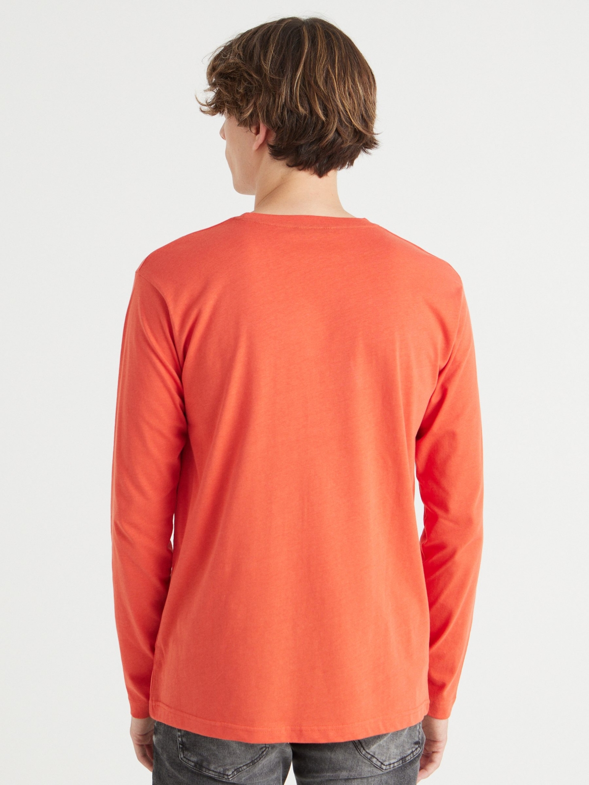 Basic T-shirt with logo brick red middle back view
