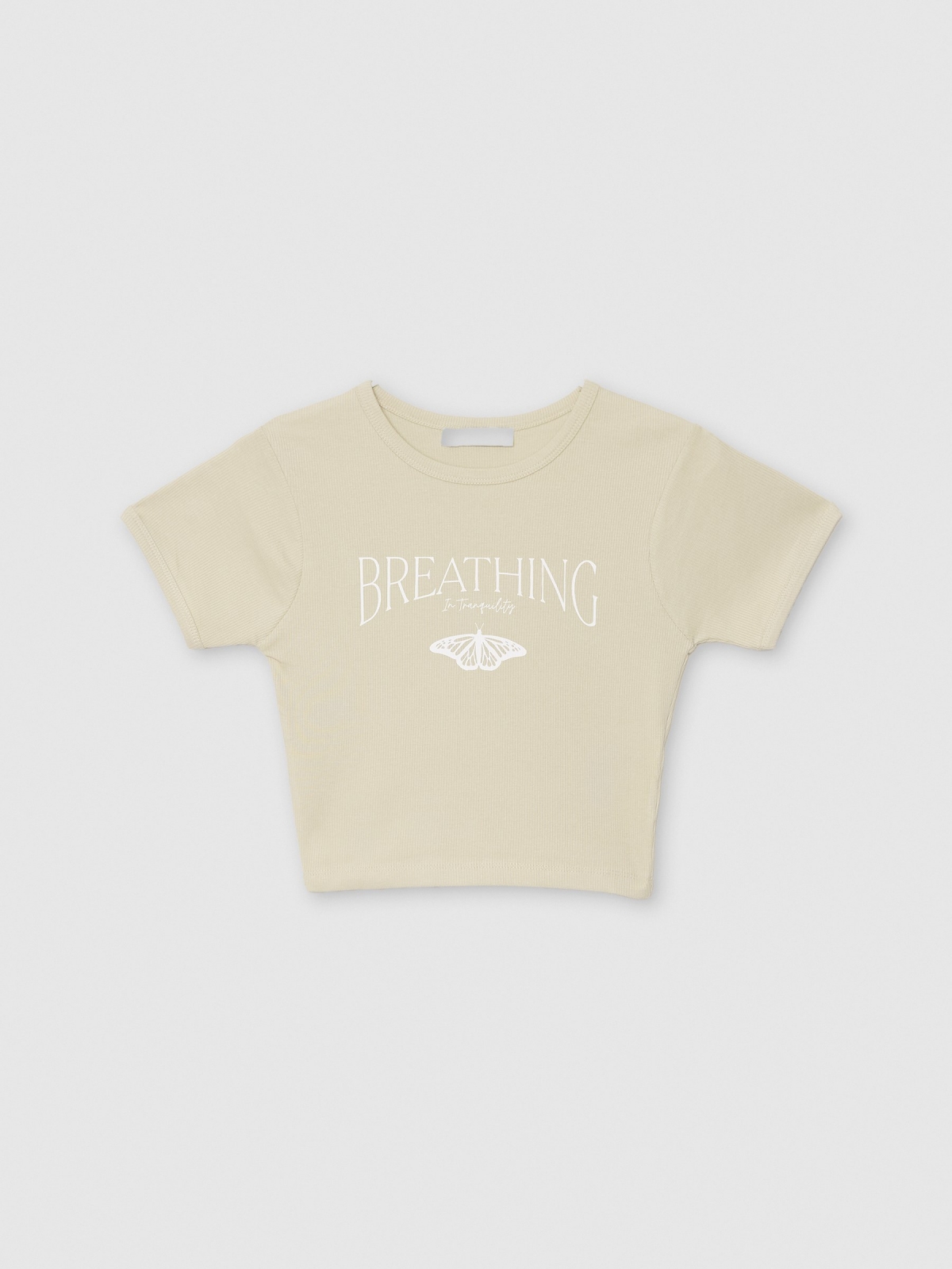  Ribbed short sleeve crop top taupe front view