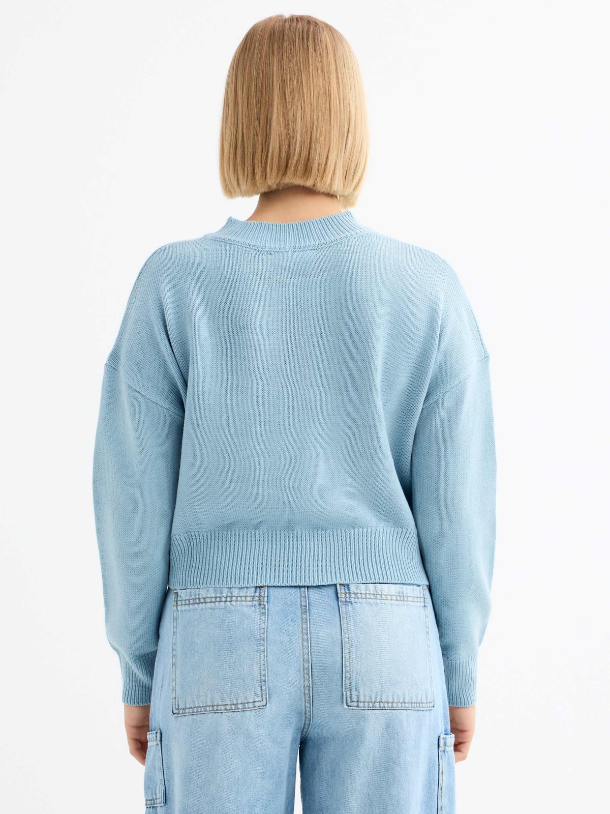 Crewneck jumper sky blue middle back view