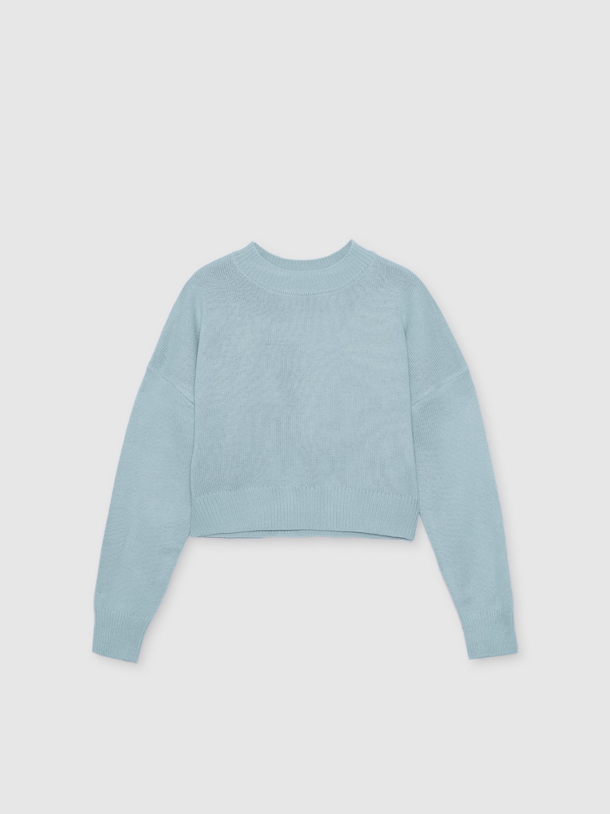 %Pto% Crewneck jumper sky blue front view