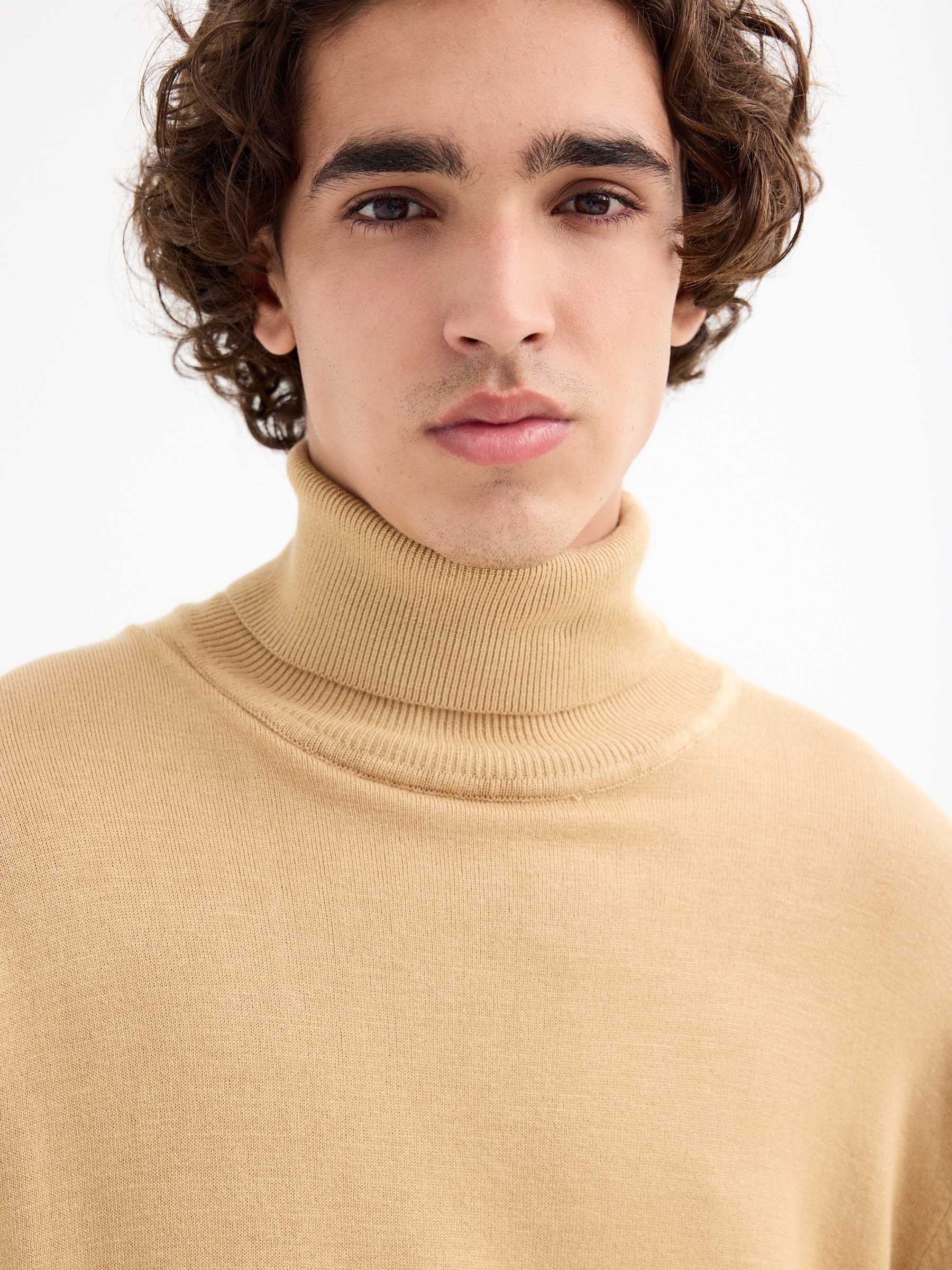 Basic swan sweater beige middle front view