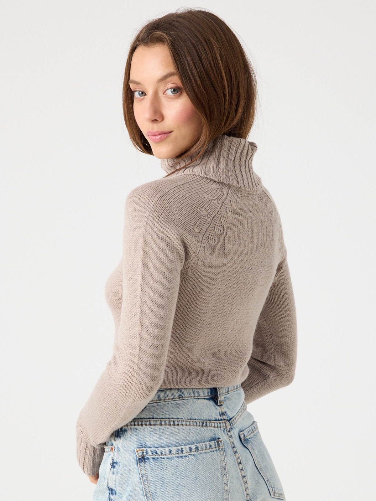 Basic turtleneck sweater sand middle back view