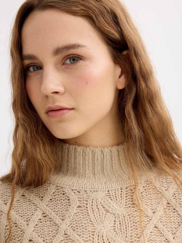 Cable knit sweater with a mock neck sand detail view