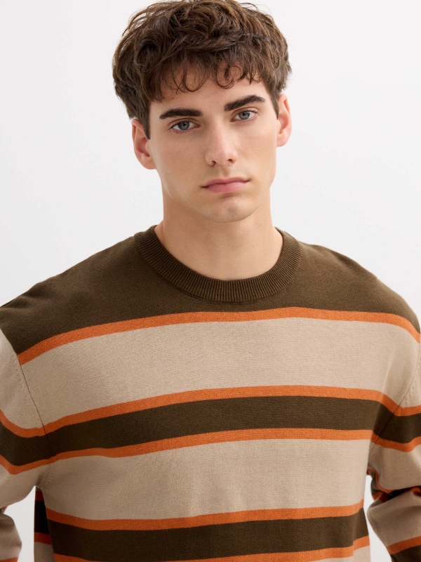 Striped knit sweater with a round neck brown detail view
