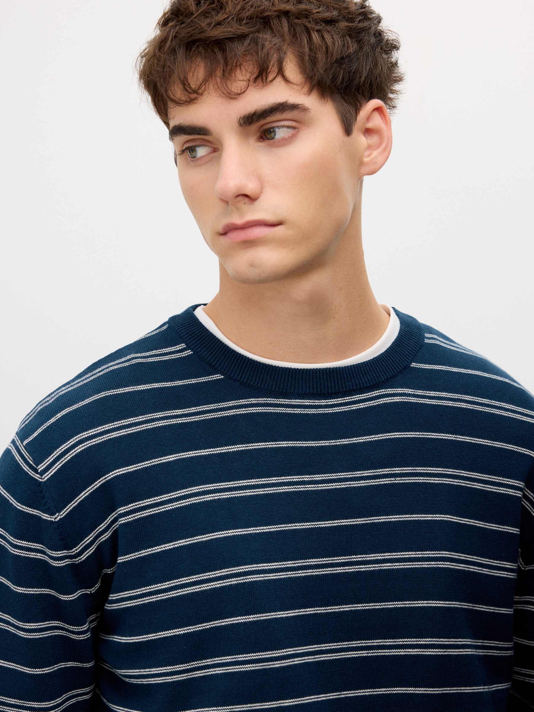 Striped knit sweater with a round neck navy middle front view
