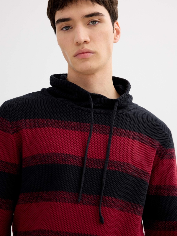 Striped knit sweater burgundy detail view