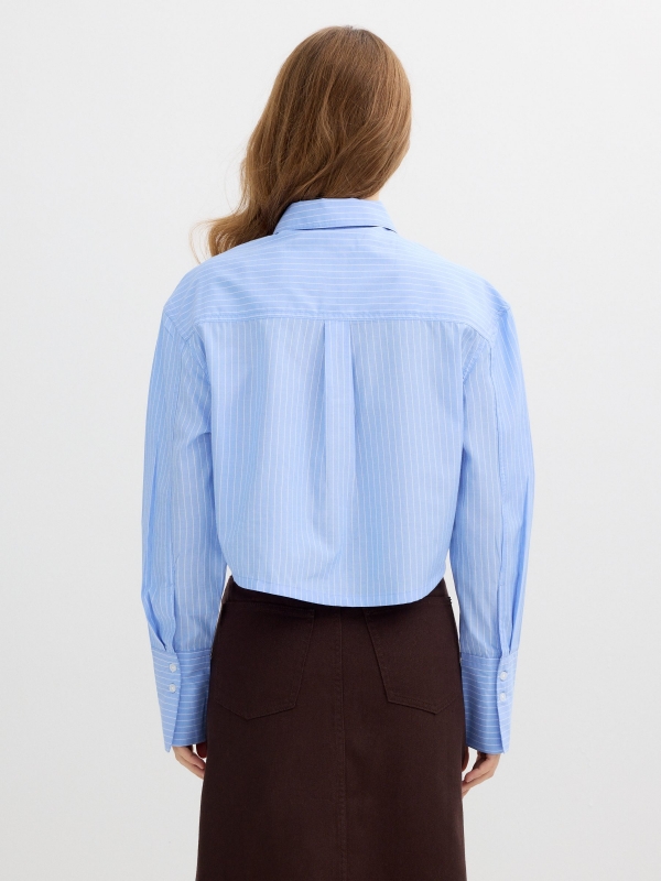 Cropped poplin striped shirt blue middle back view