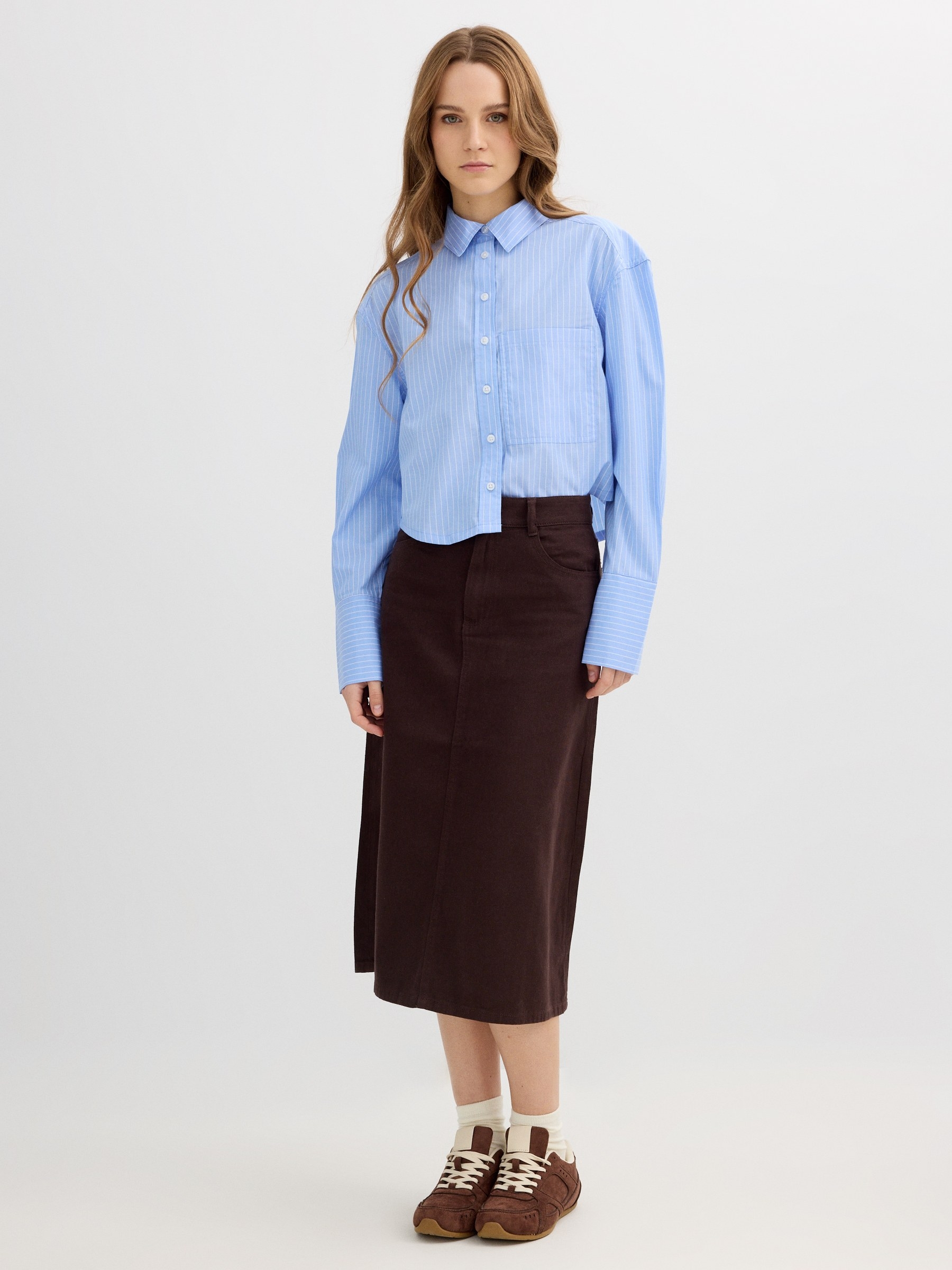 Cropped poplin striped shirt blue middle front view