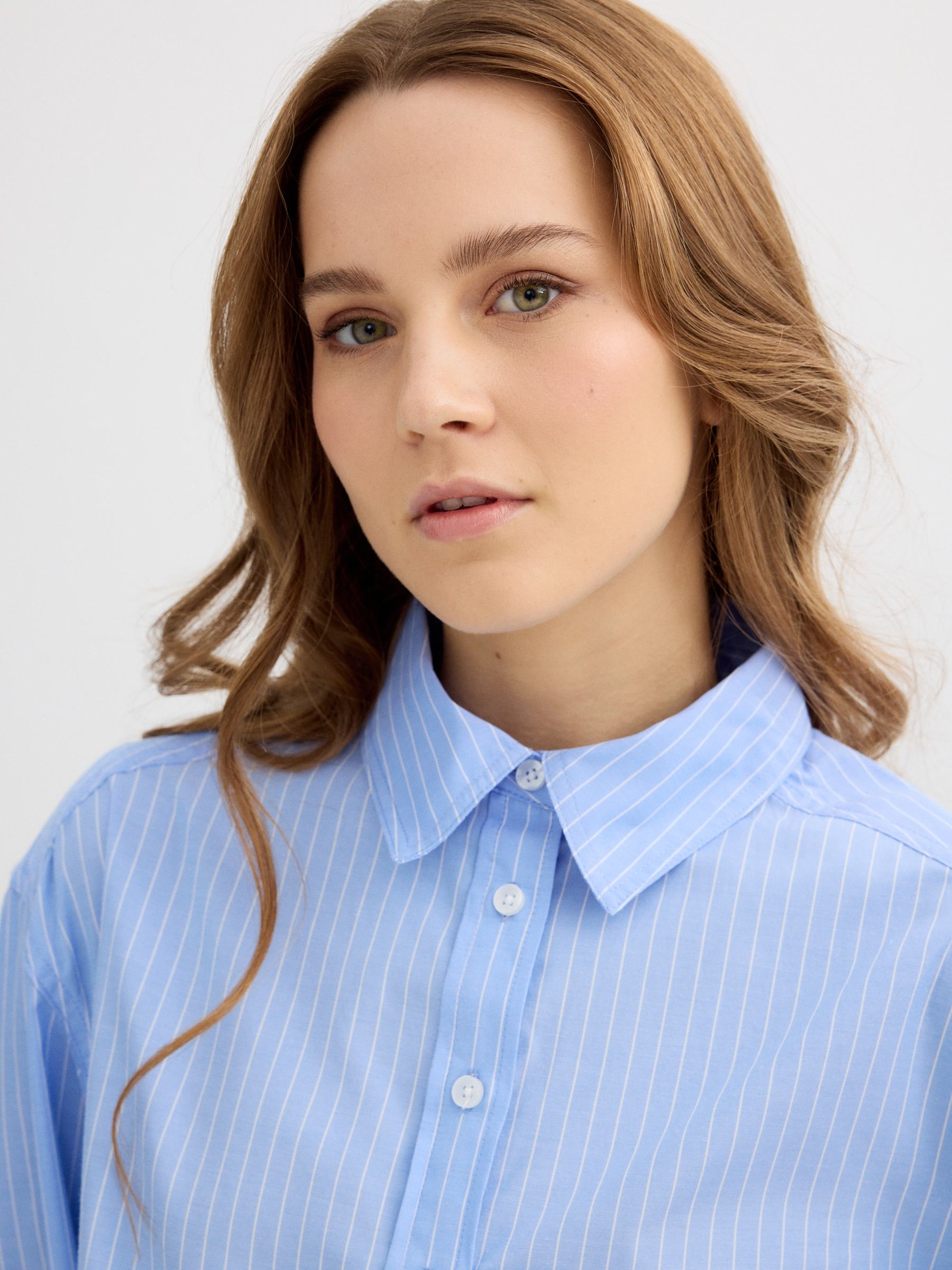 Cropped poplin striped shirt blue middle front view