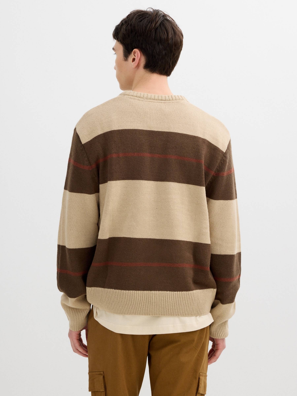 Striped knit sweater with a round neck brown middle back view