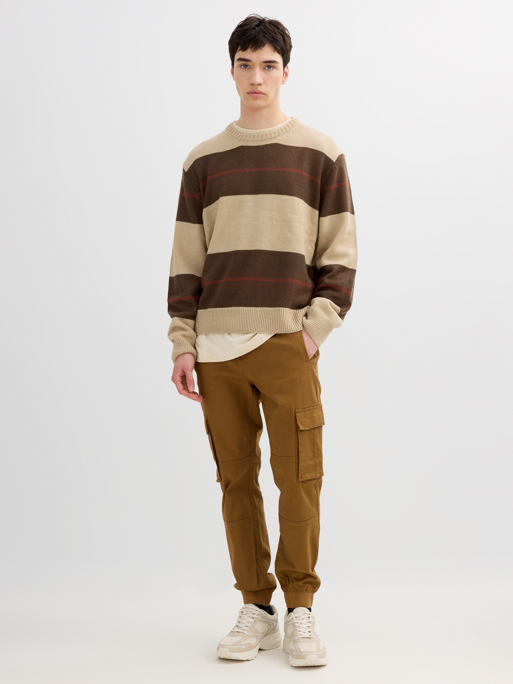 Striped knit sweater with a round neck brown middle front view
