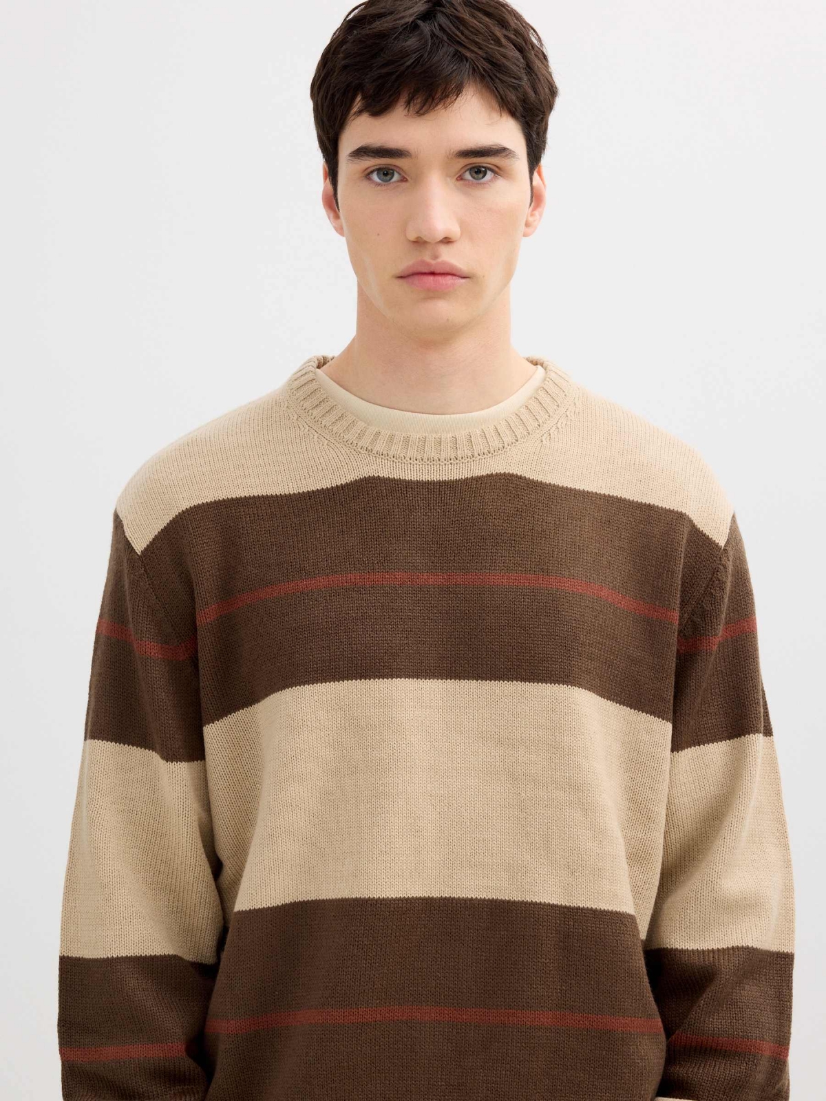 Striped knit sweater with a round neck brown detail view