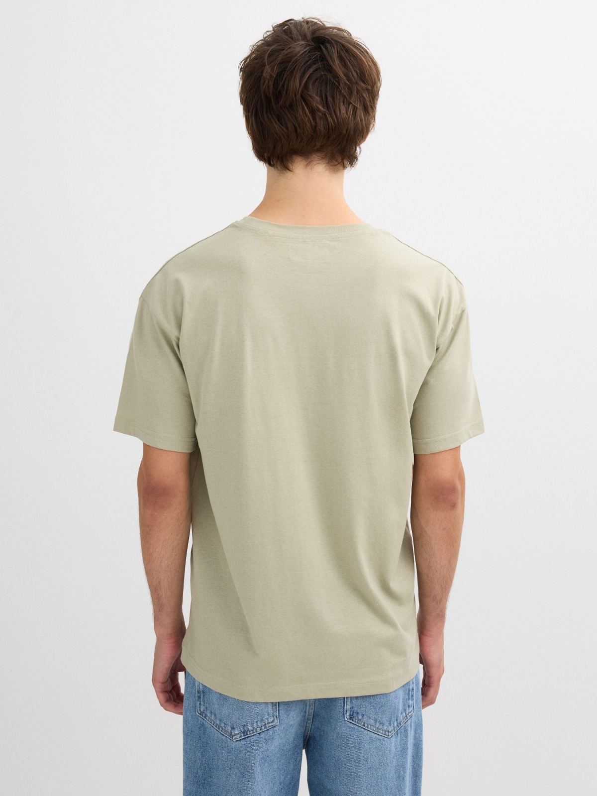Inside logo t-shirt greyish green middle back view