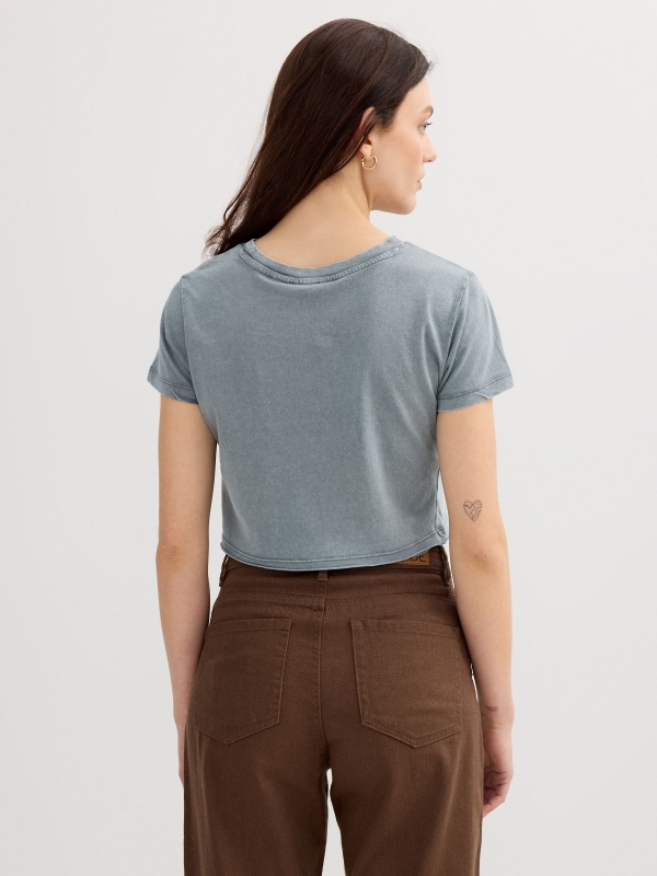 Camiseta cropped Butter cinza azulado vista meia traseira