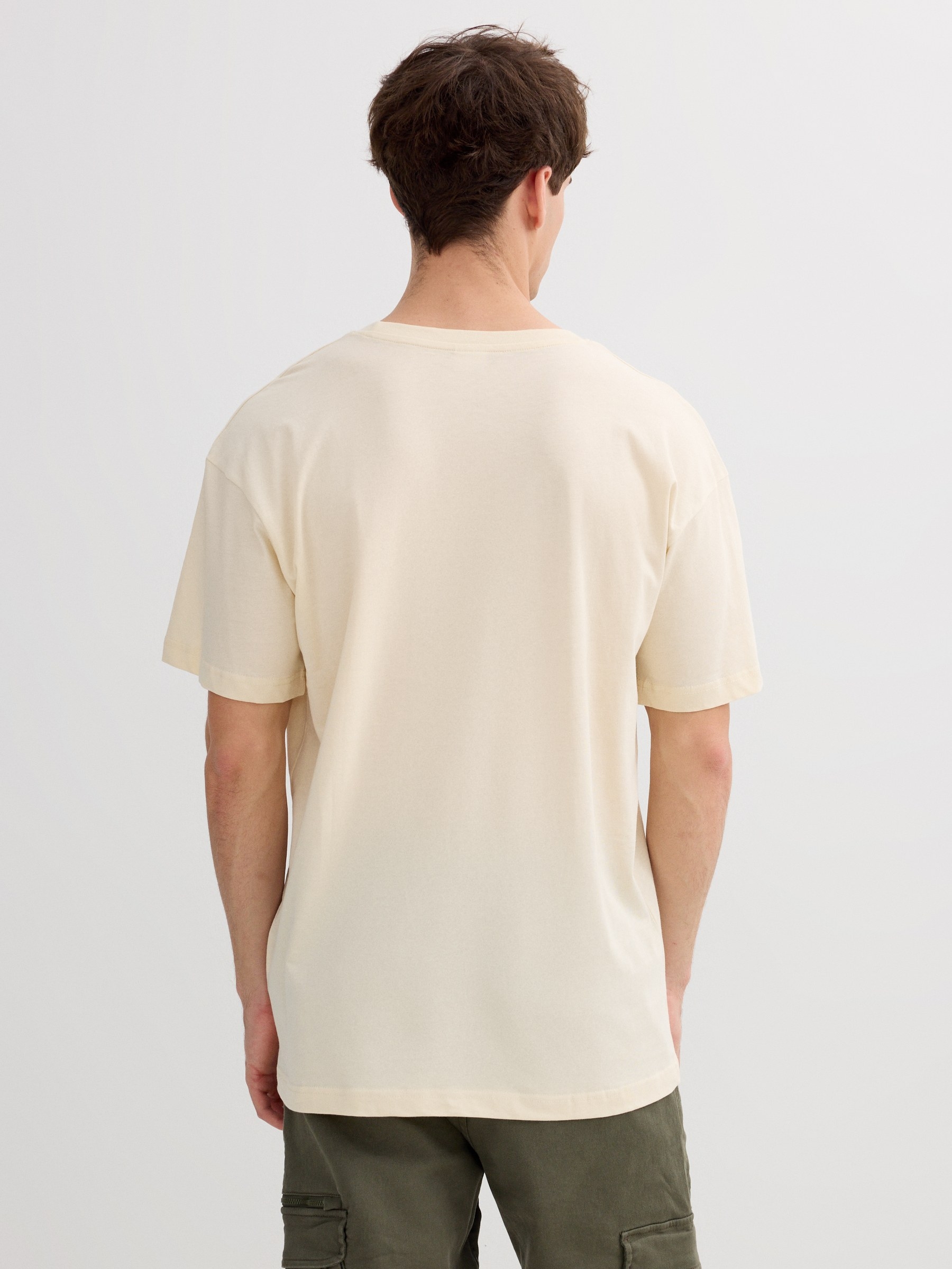 Striped t-shirt with graphic Inside text off white middle front view