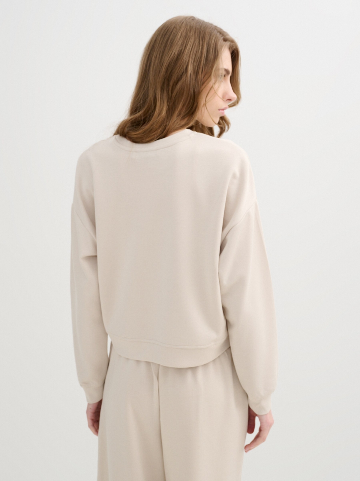 Basic crew neck sweatshirt raw middle back view