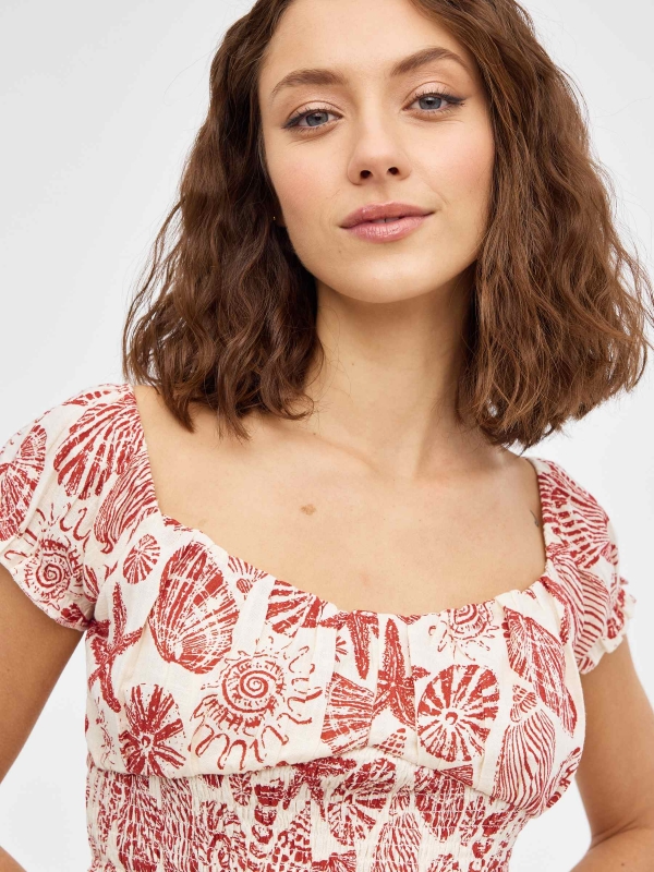 Top estalajadeiros com conchas areia