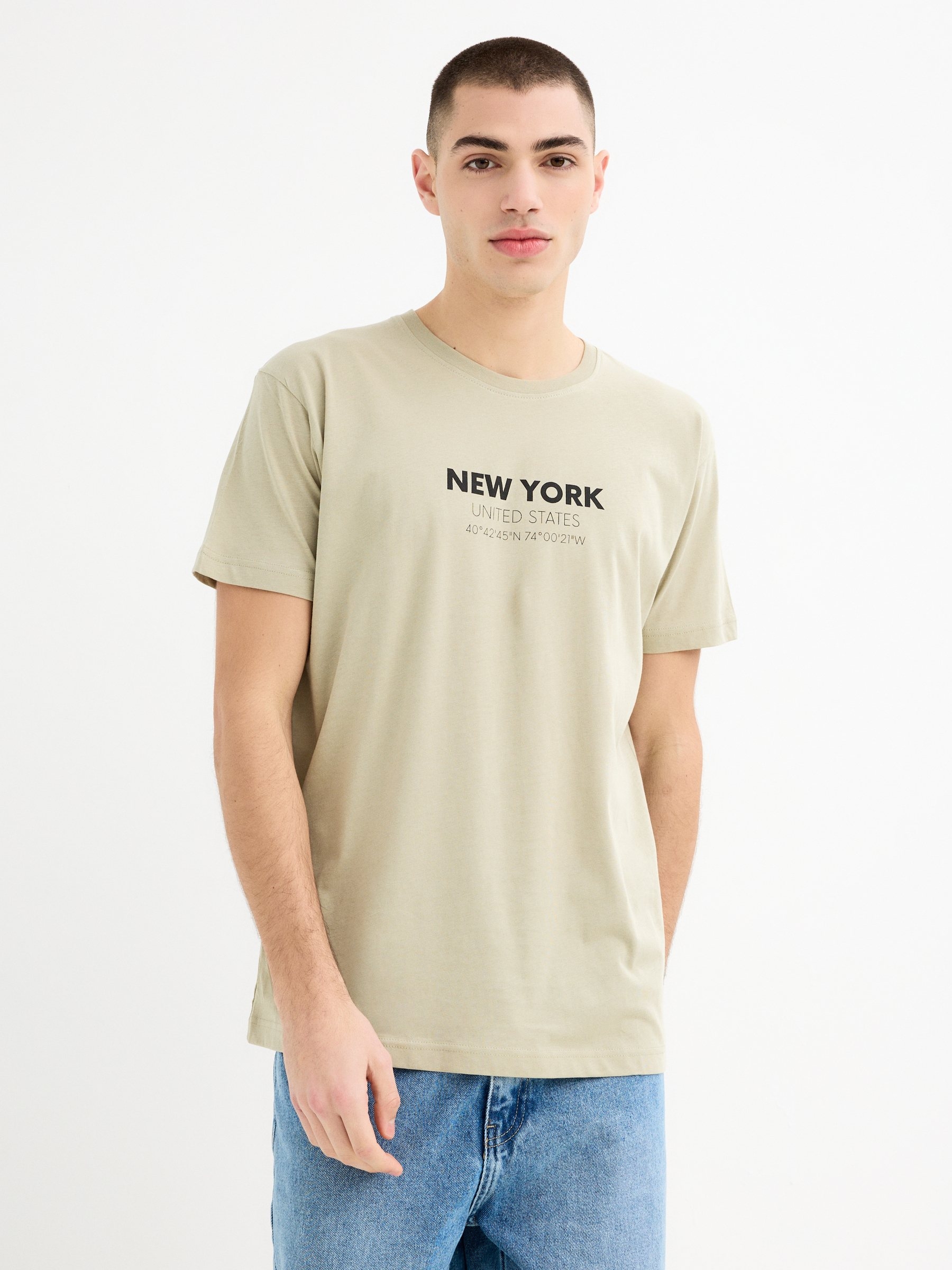 Camiseta manga corta New York verde grisáceo vista media frontal