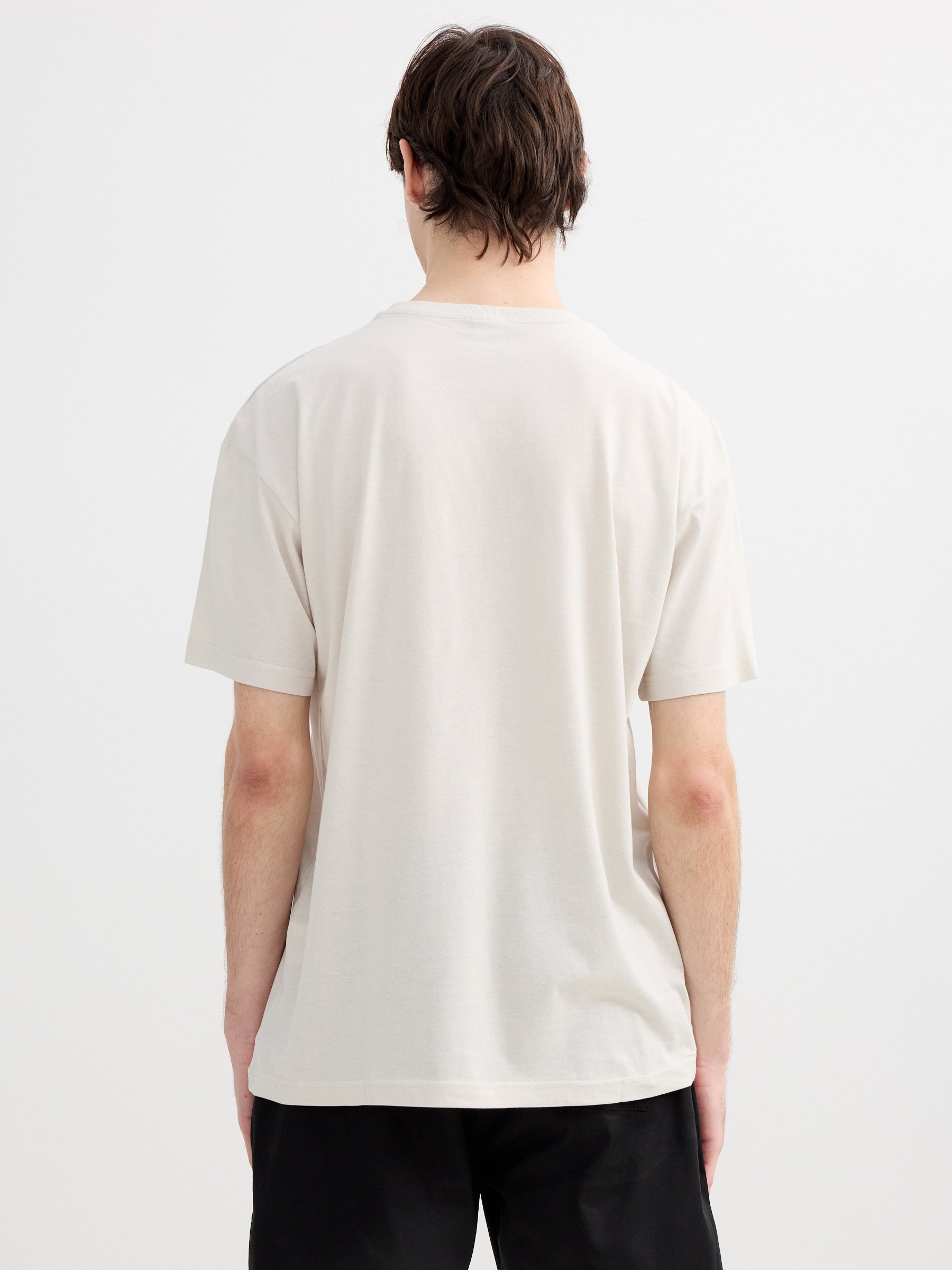 Camiseta estampada inside gris claro vista media frontal