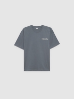 %Pto% Camiseta Wild Walley gris vista frontal