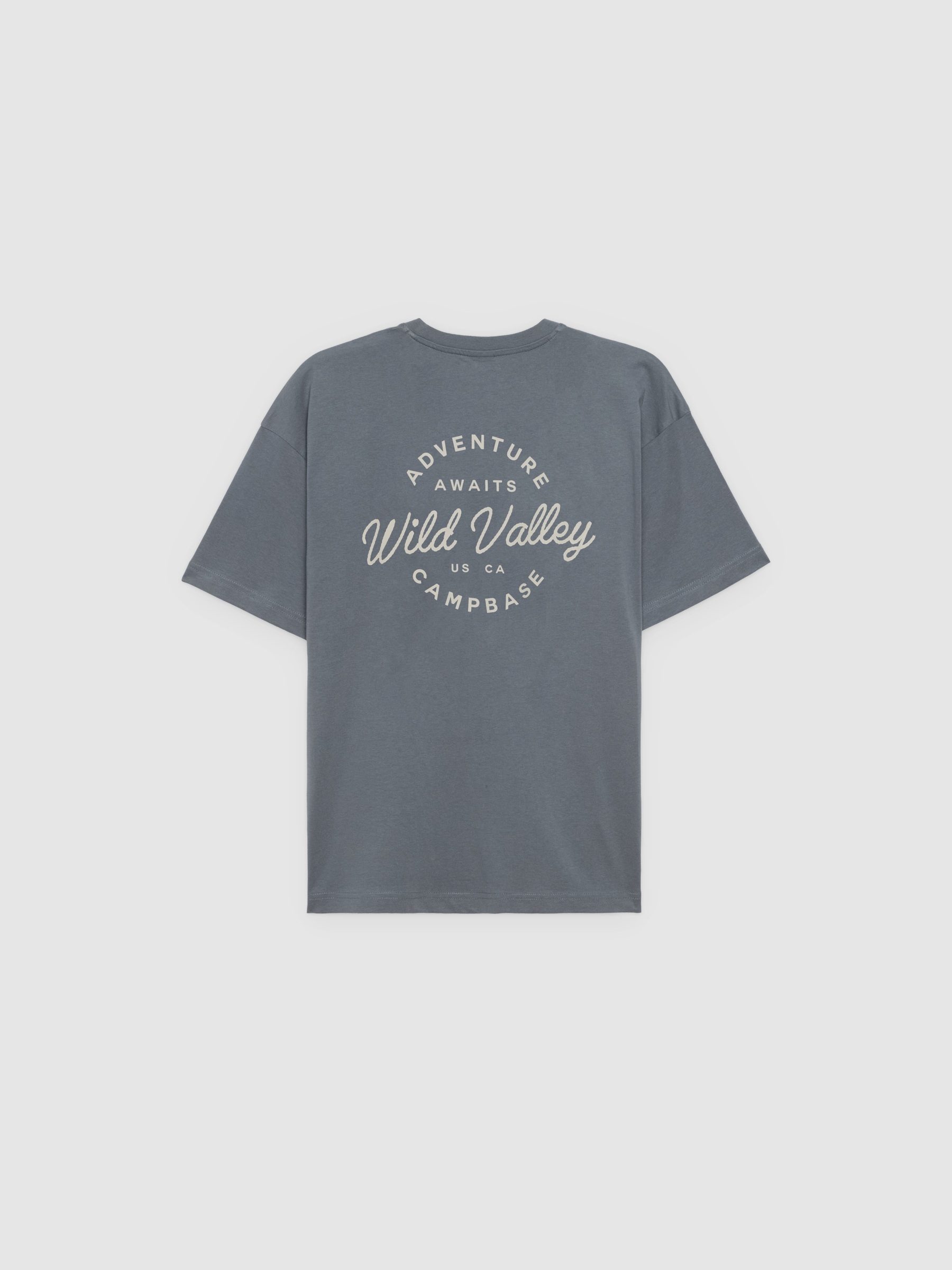 Wild Walley T-shirt grey middle front view