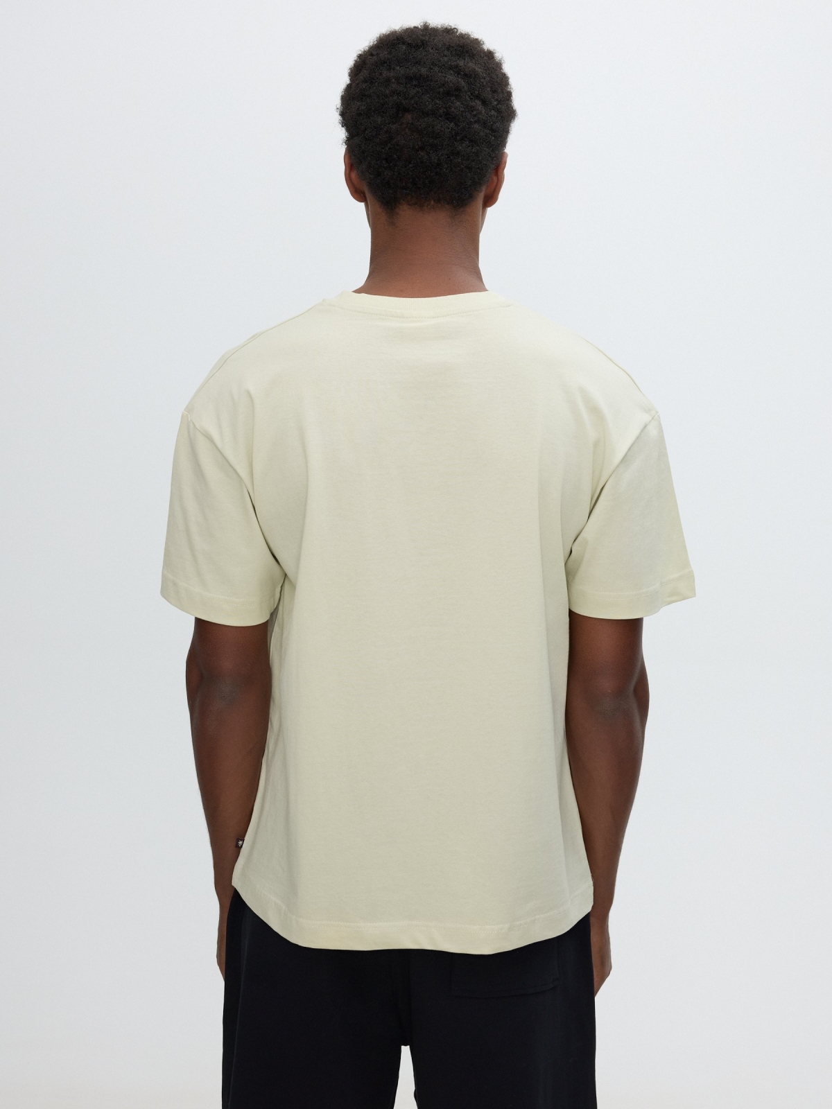 Sunlit shores T-shirt light green middle back view