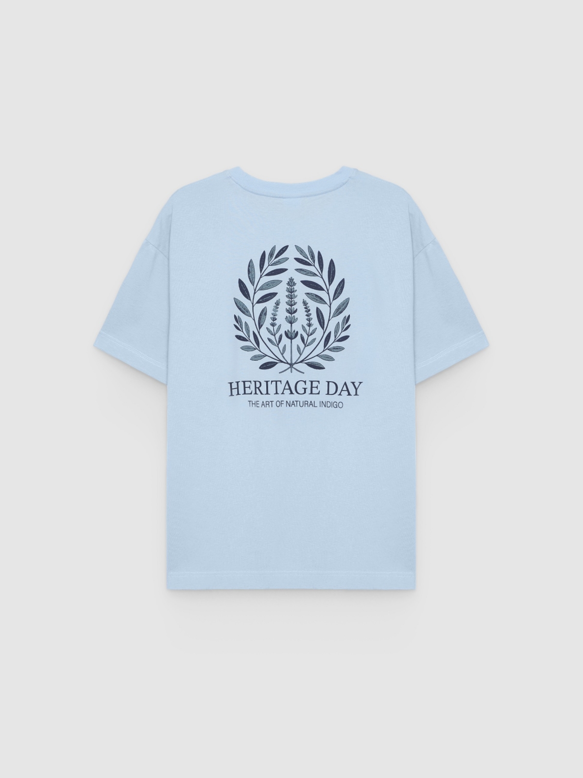 Heritage Day T-shirt sky blue back view