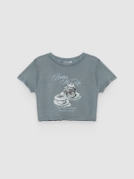 %Pto% Butter cropped t-shirt bluish gray front view