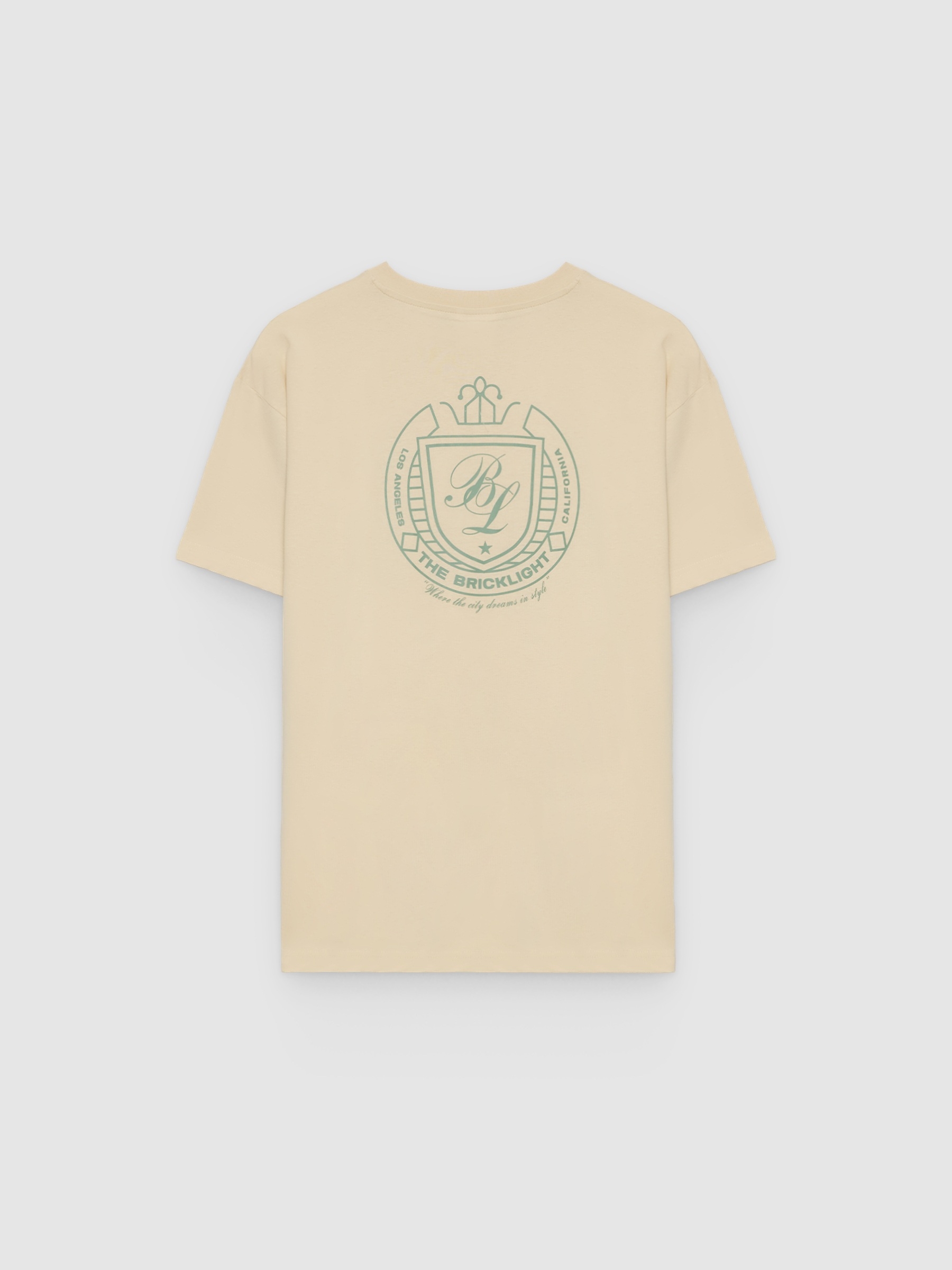 Printed T-shirt bricklight raw middle front view