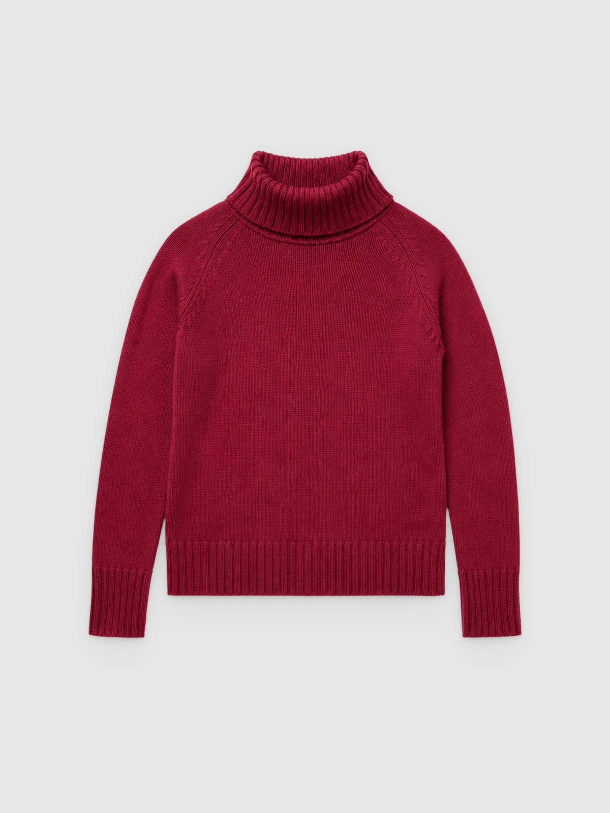 %Pto% Basic turtleneck sweater garnet front view