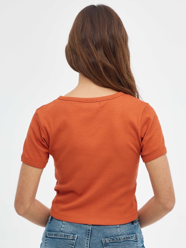 VAN TOUR crop top brick red middle back view