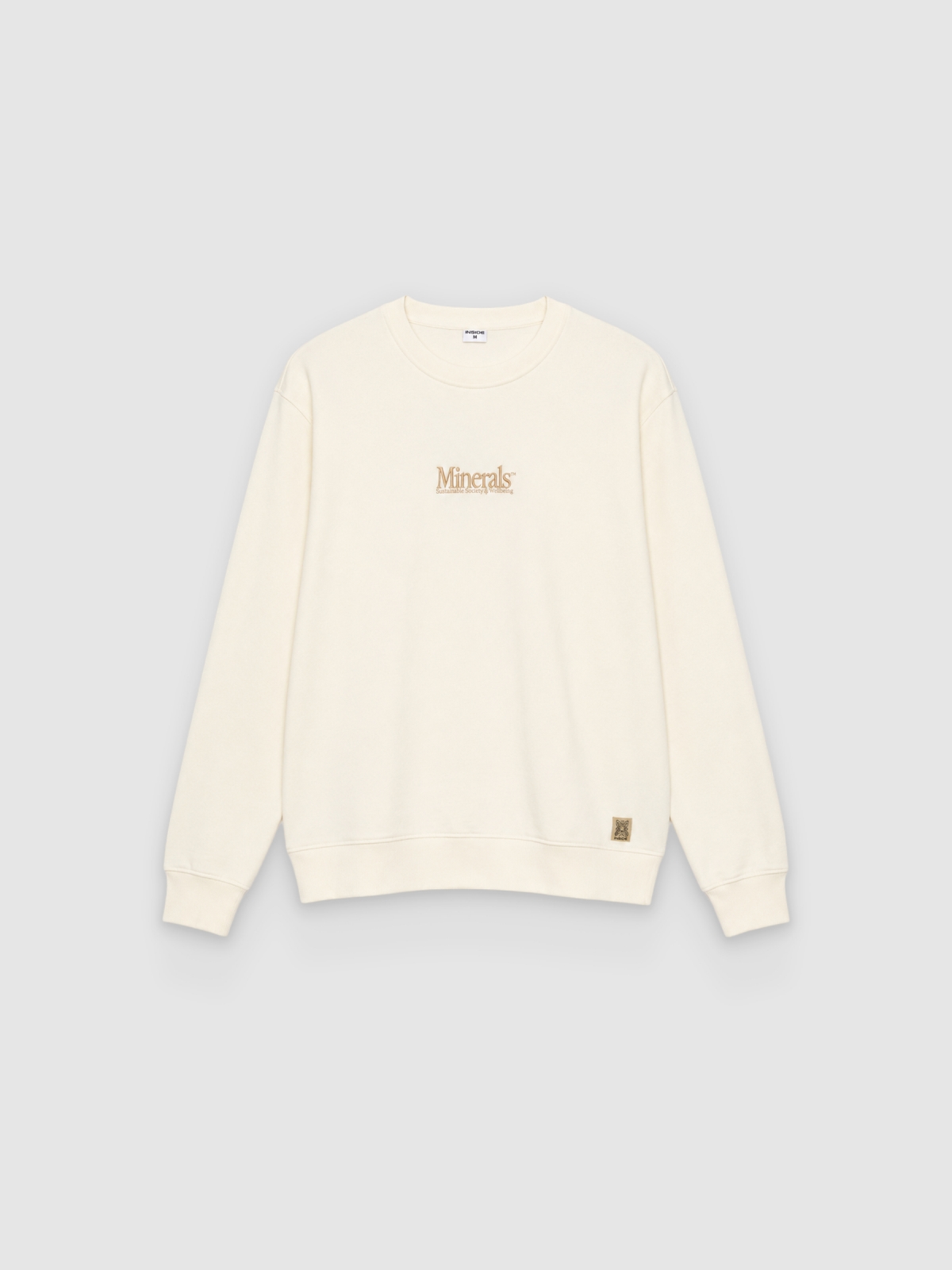%Pto% Oversized minerals sweatshirt raw front view